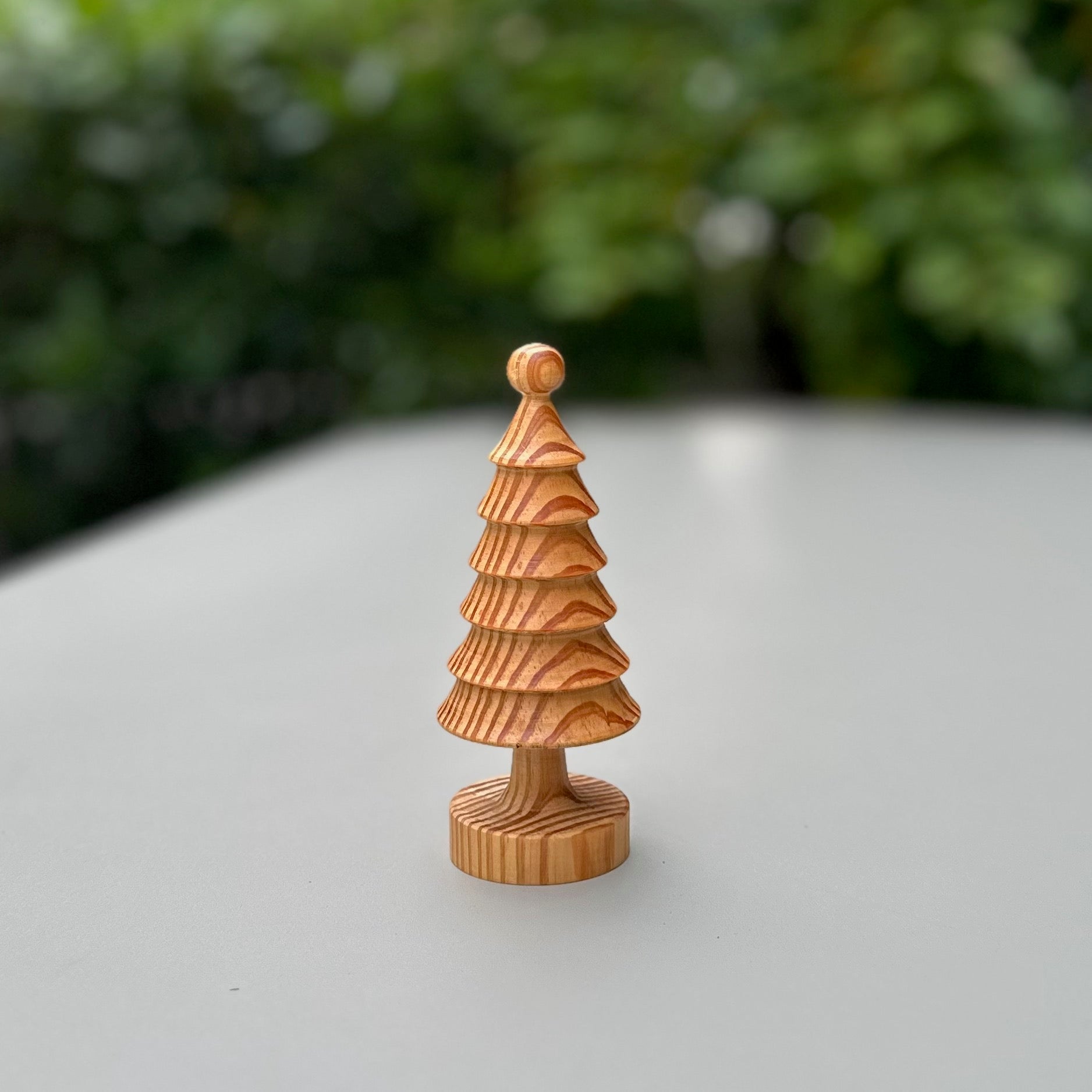 ツリー(アカマツ)