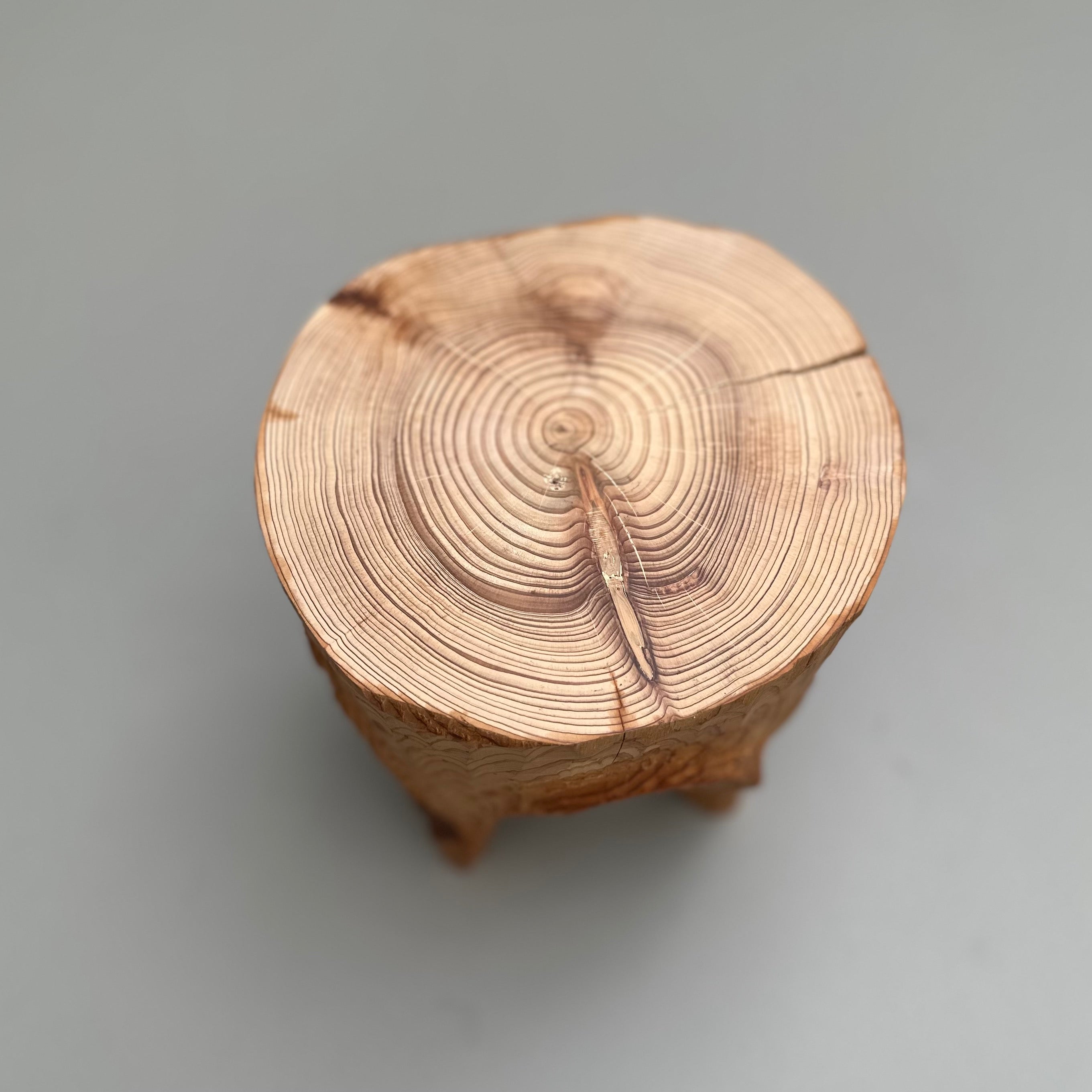 台の上の小さな世界