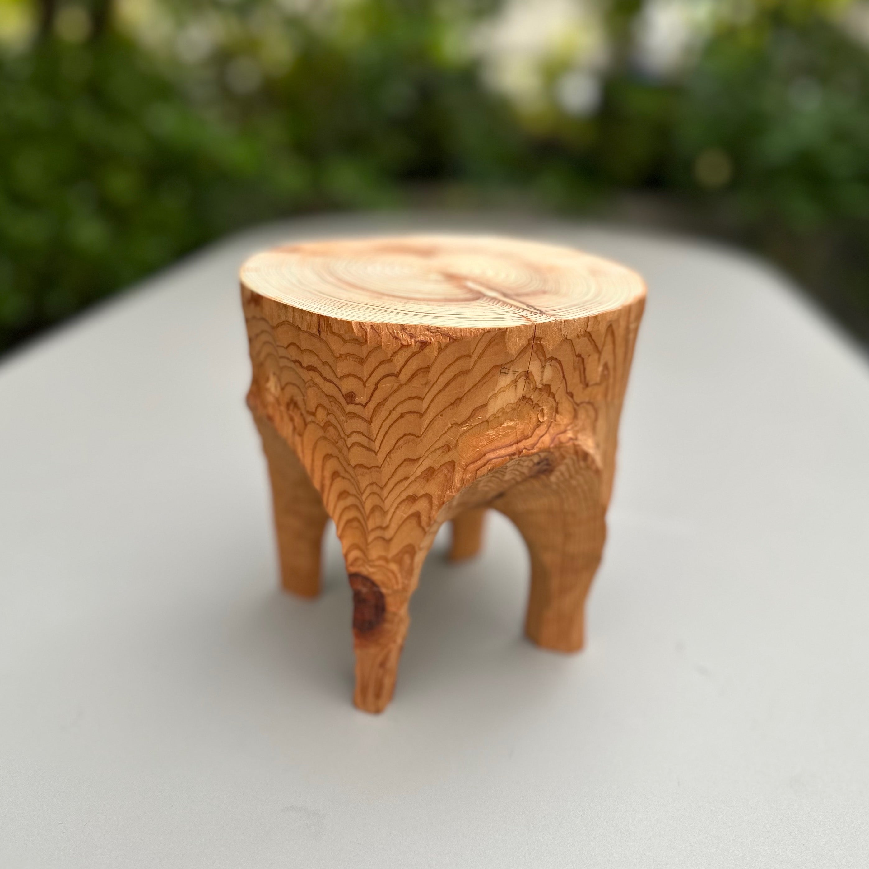 台の上の小さな世界