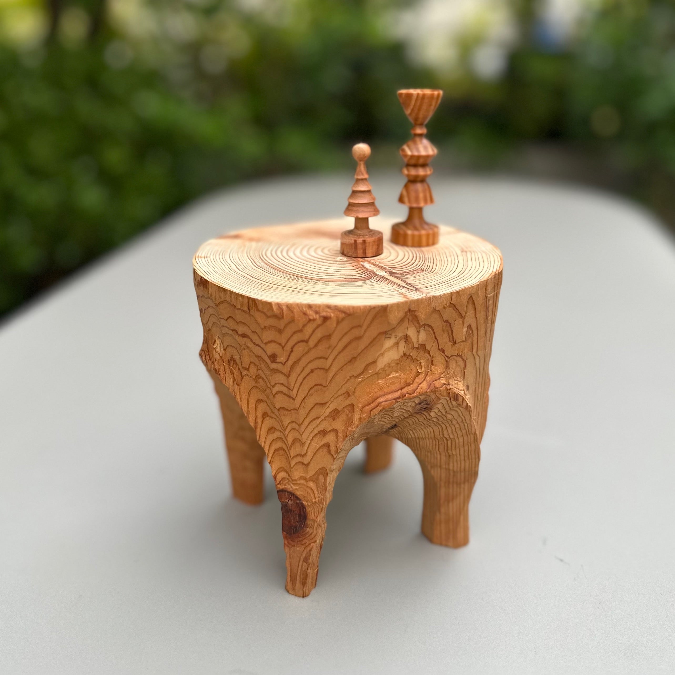 台の上の小さな世界