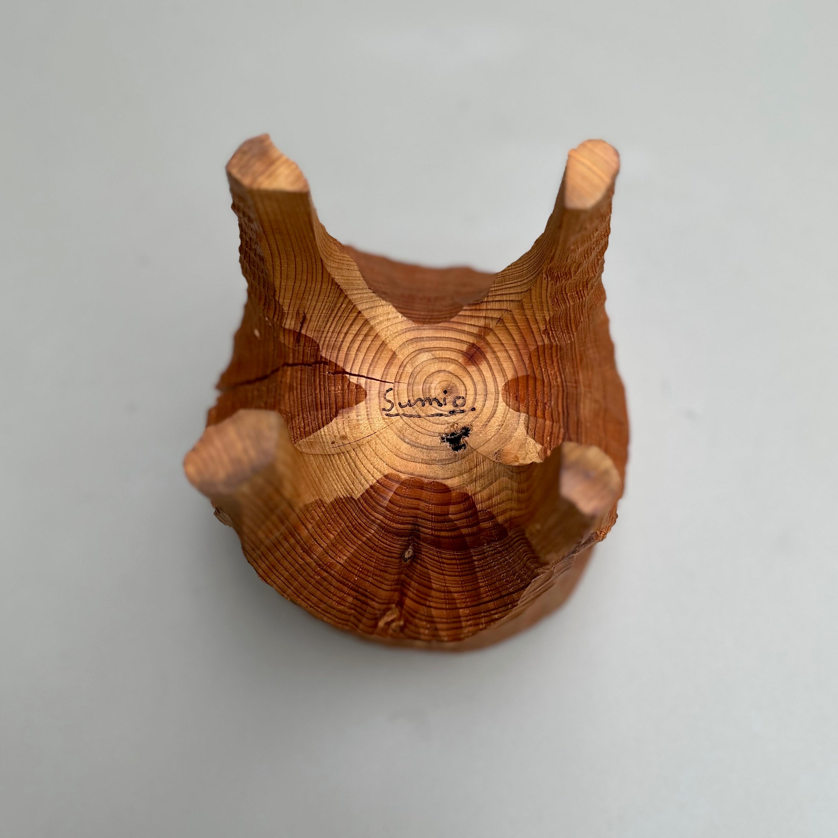 台の上の小さな世界