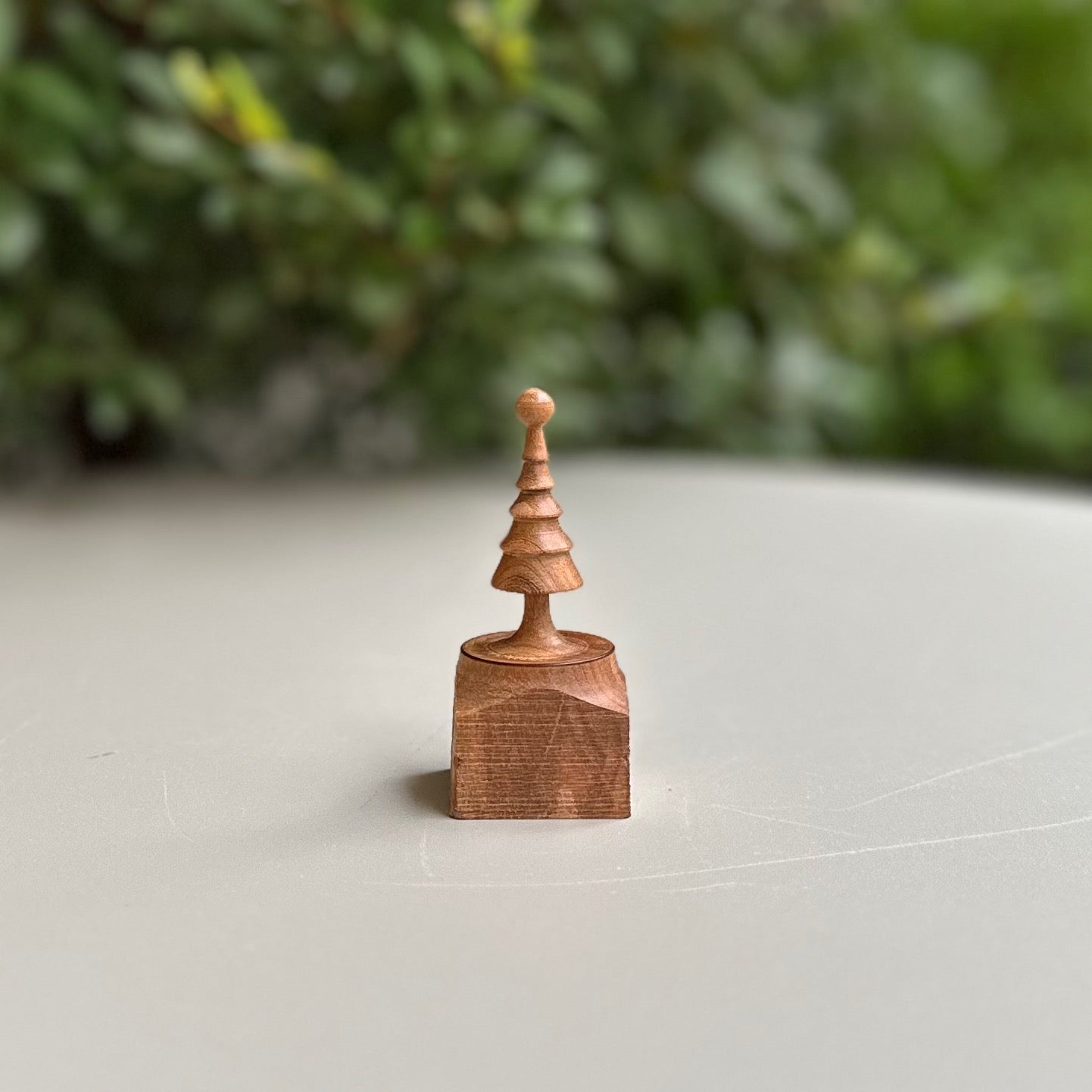 小さな小さなツリー(サクラ)