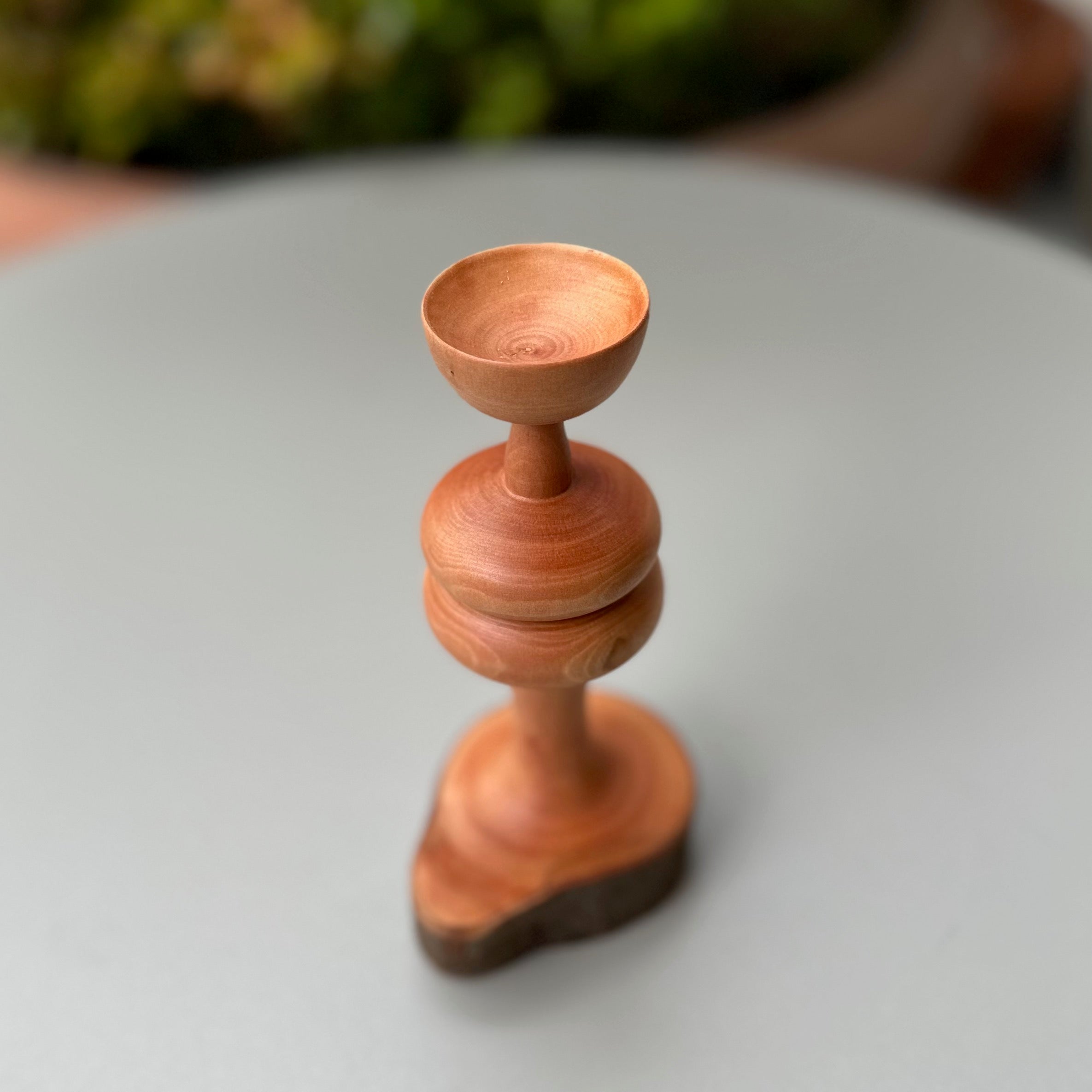 小さなものを置くオブジェ(ヒサカキ)