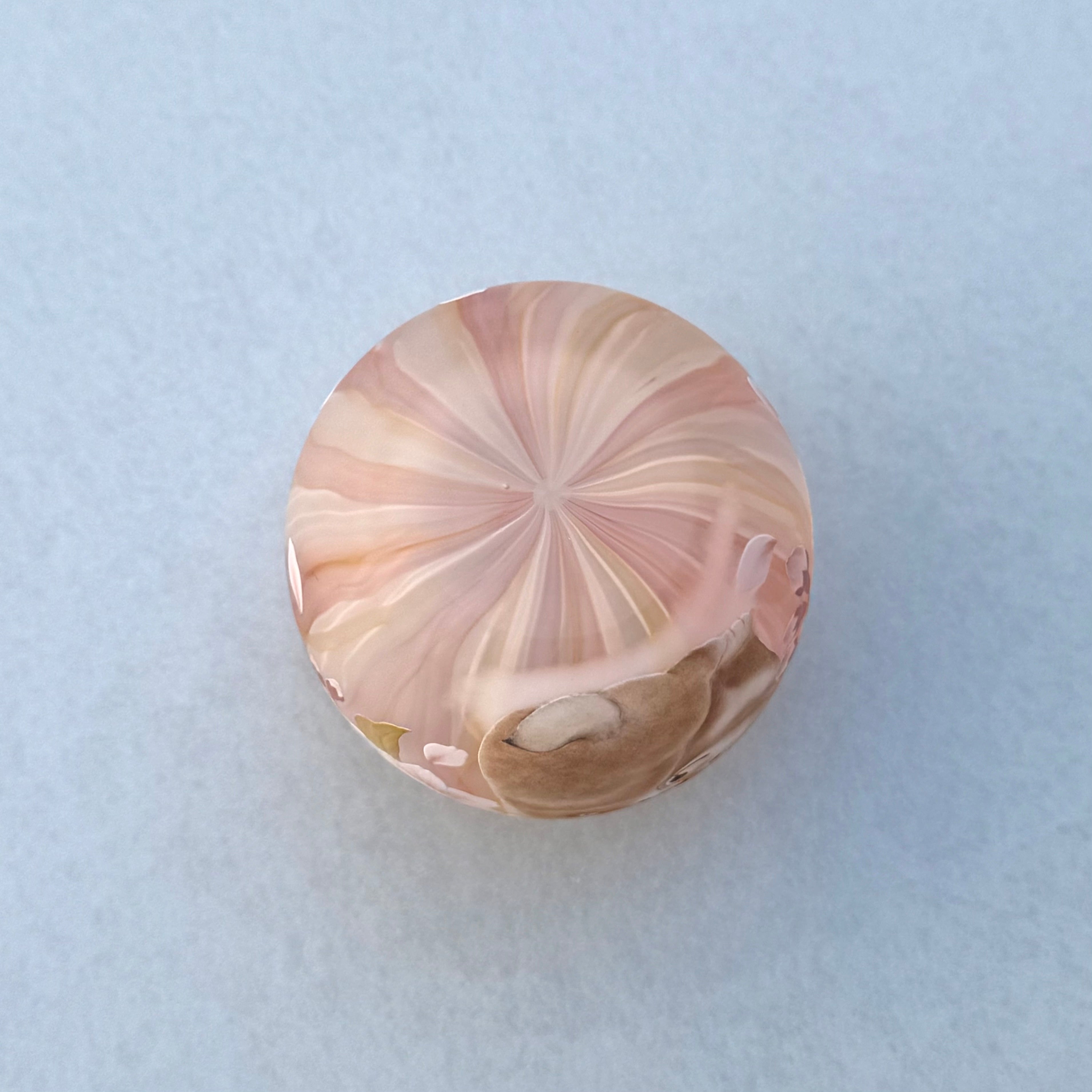 21_Sake cup "Sunny spot"