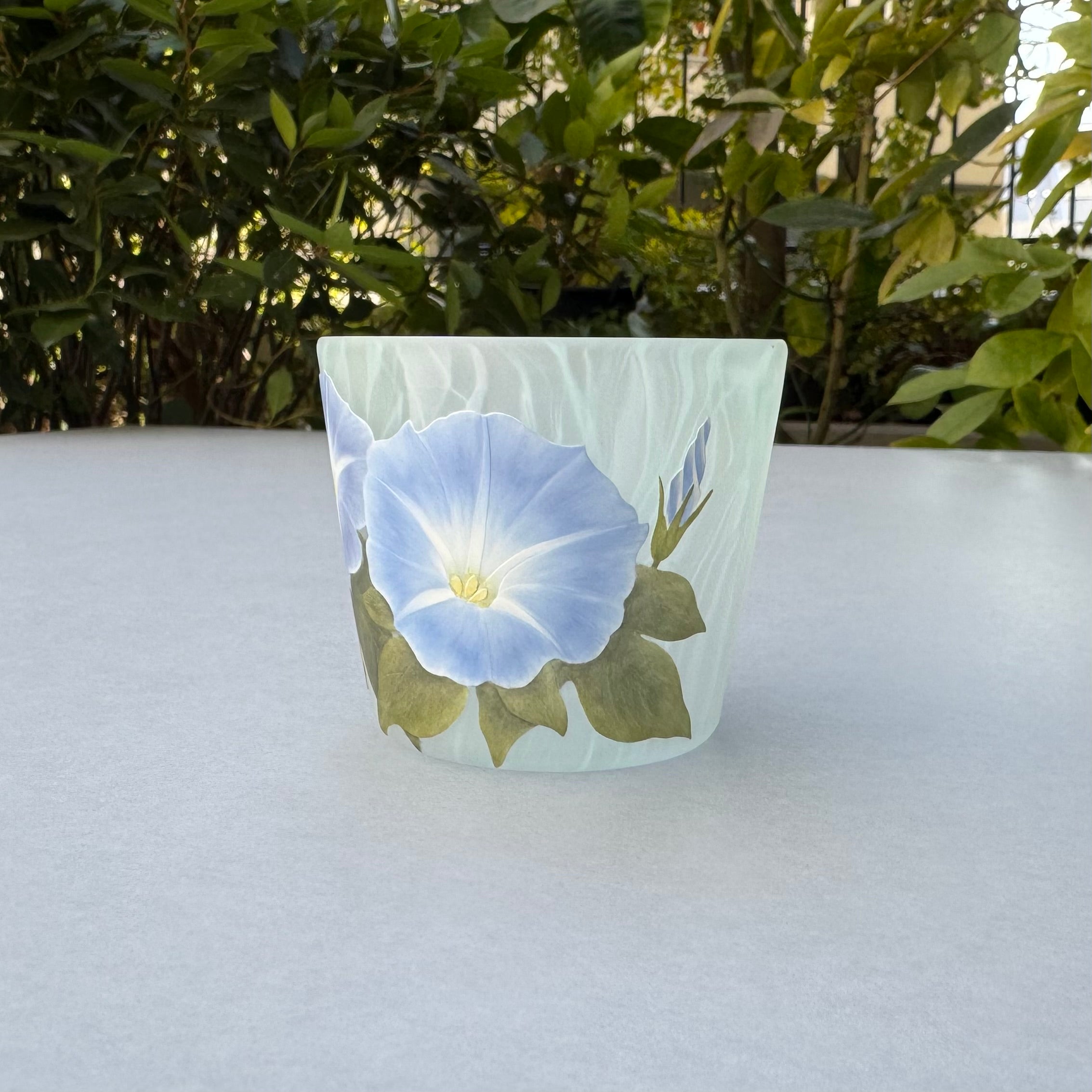 34_Free Glass "Morning Glory"