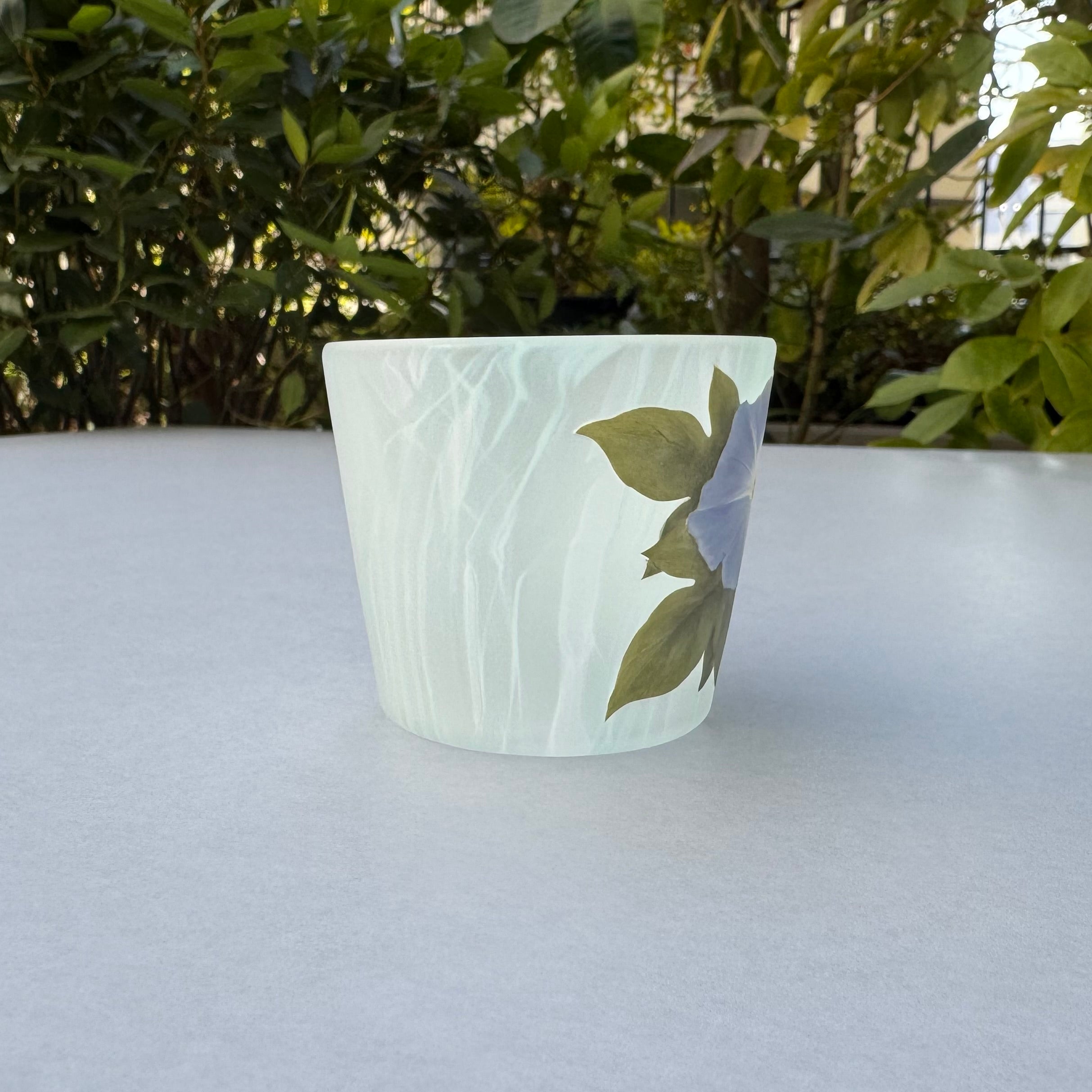 34_Free Glass "Morning Glory"