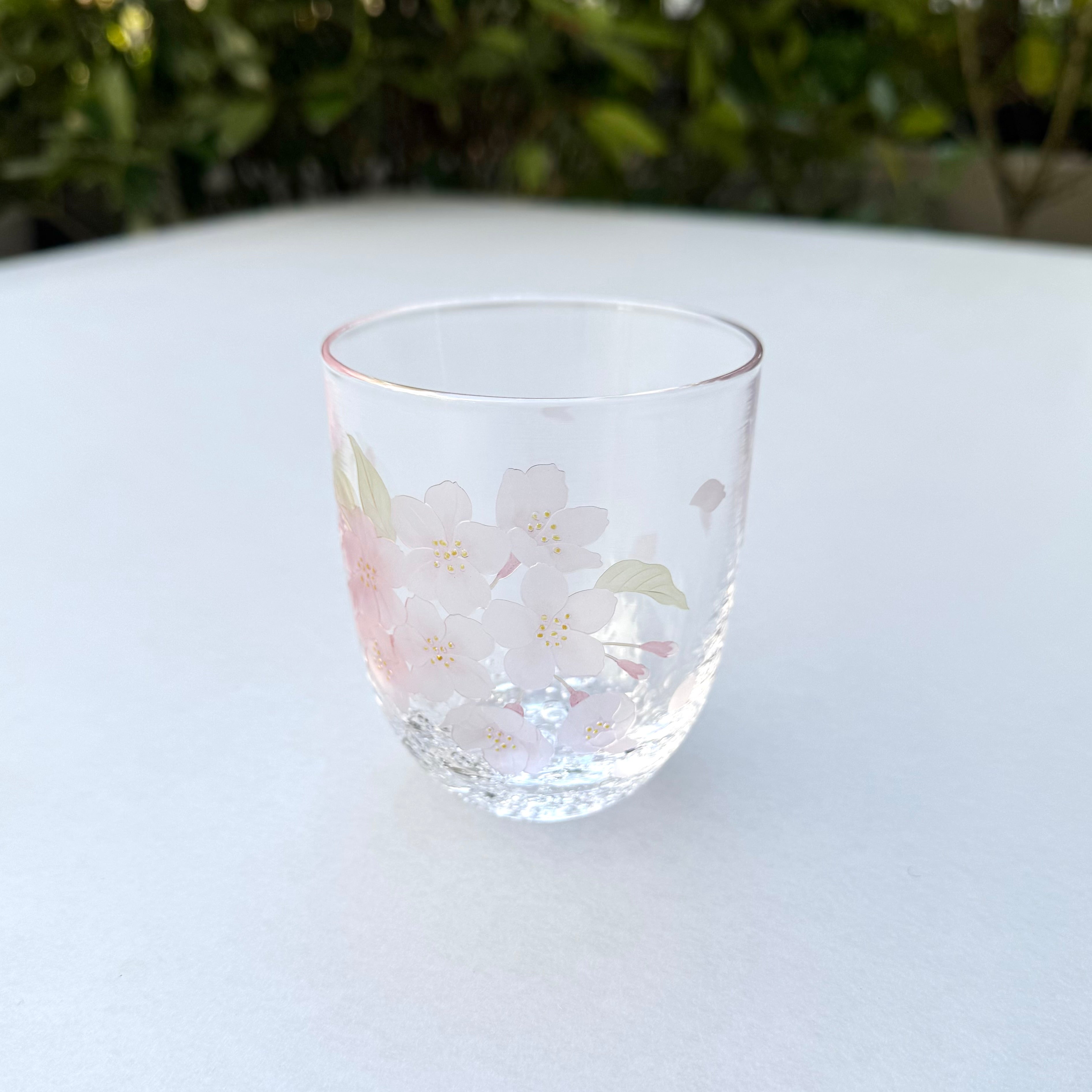 38_Glass "Sakura"