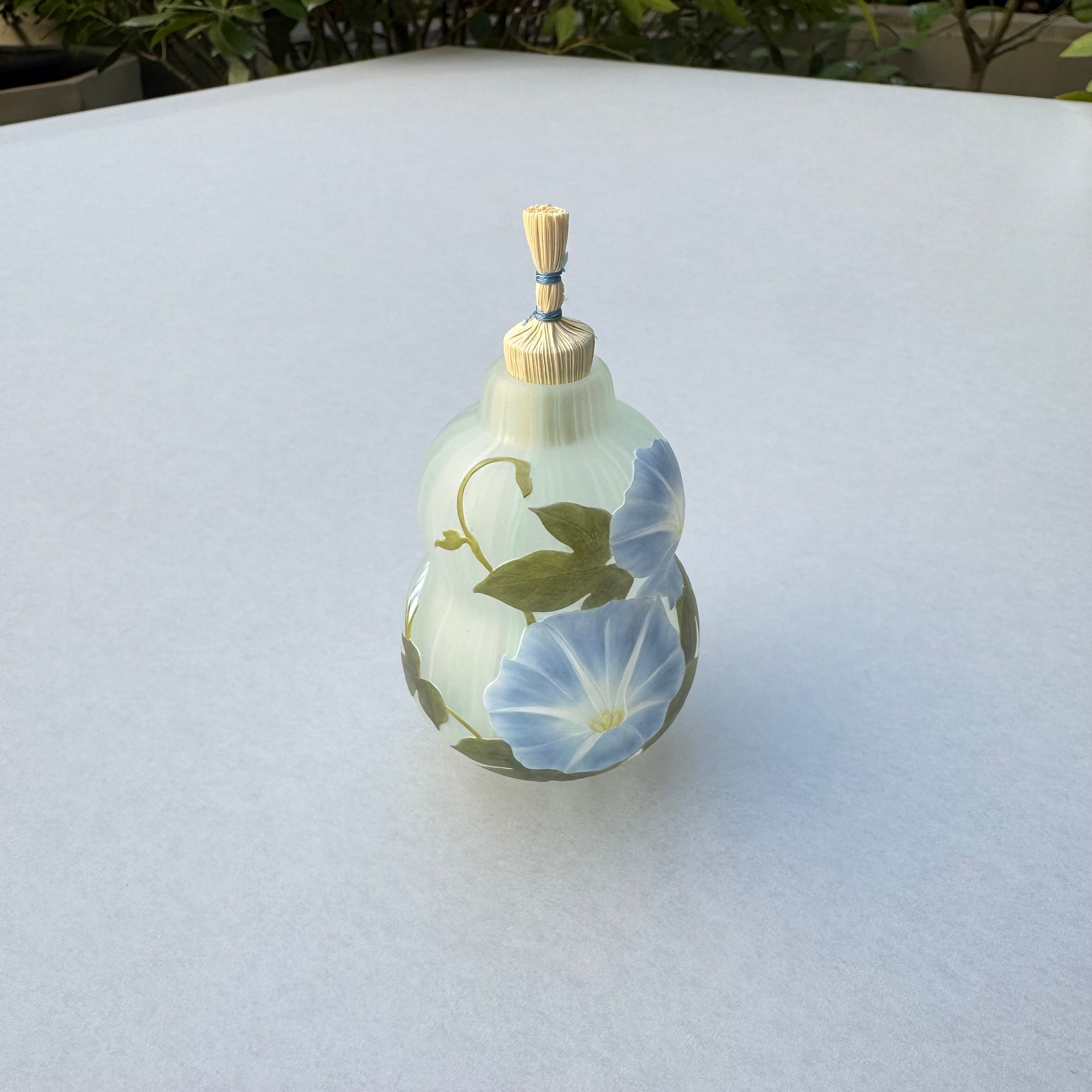 60_Drawing "Morning Glory"