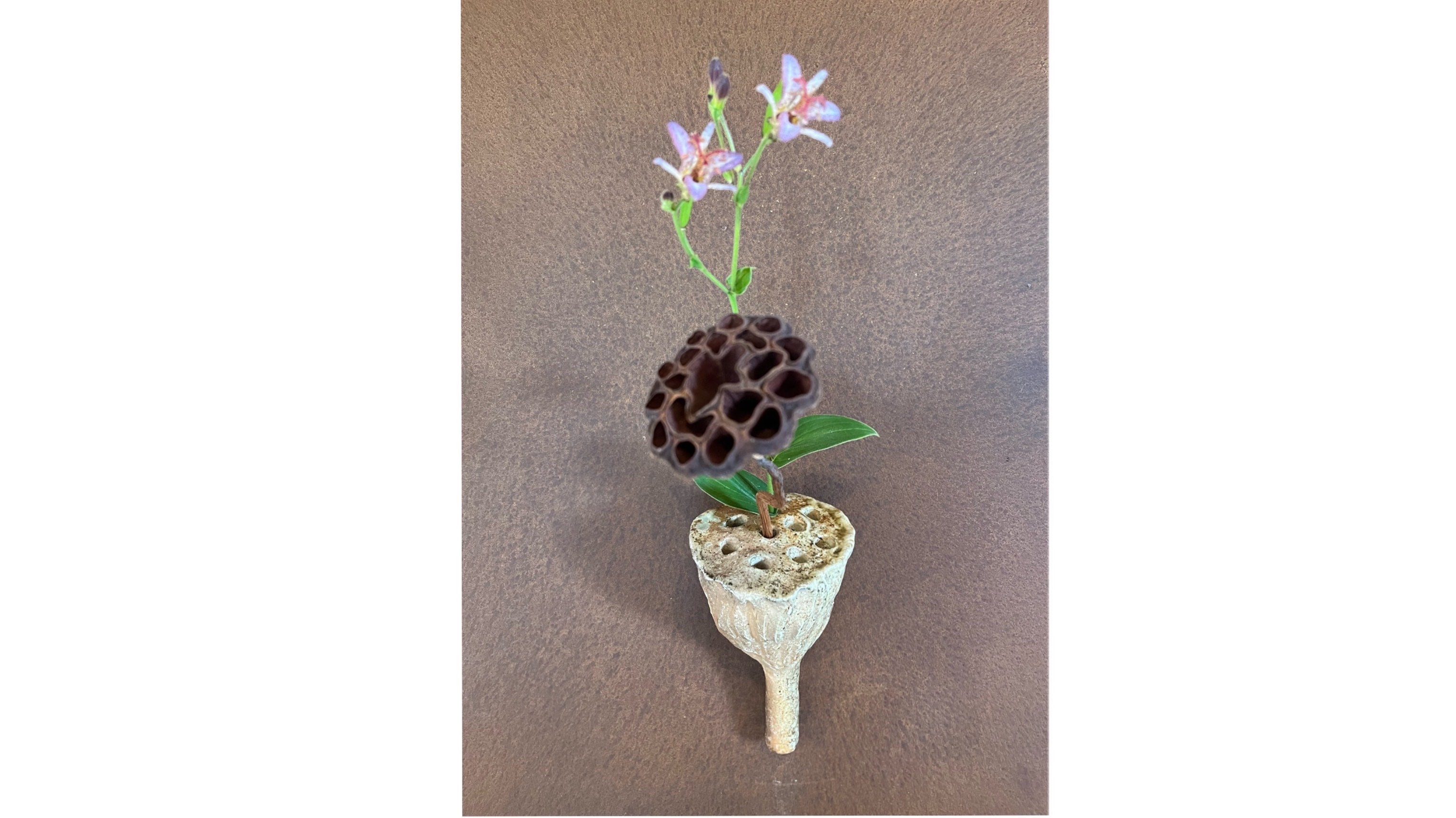 岡見周二 陶展  2025.9.27(土)-10.5(日)