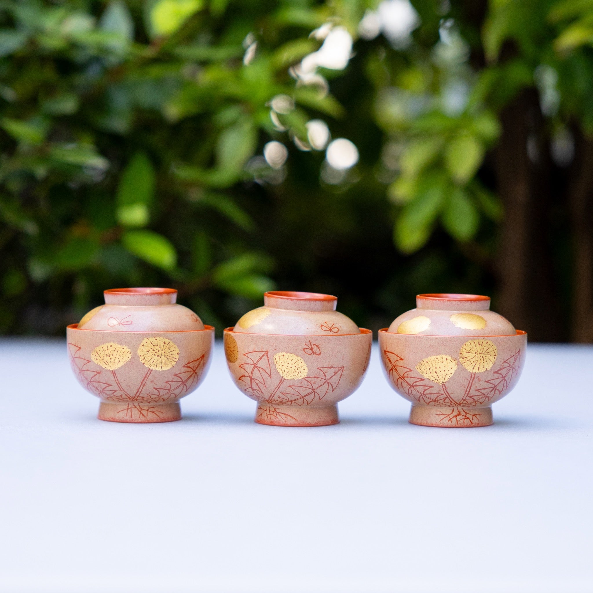 Lacquered Bowls / 漆椀