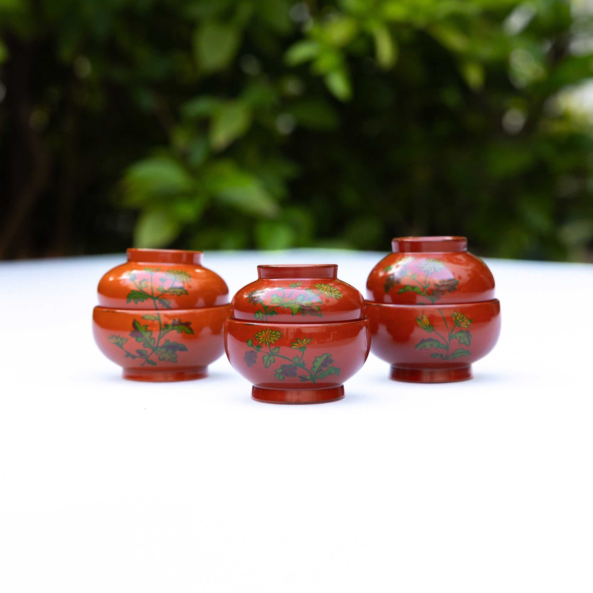 Lacquered Bowls / 漆椀