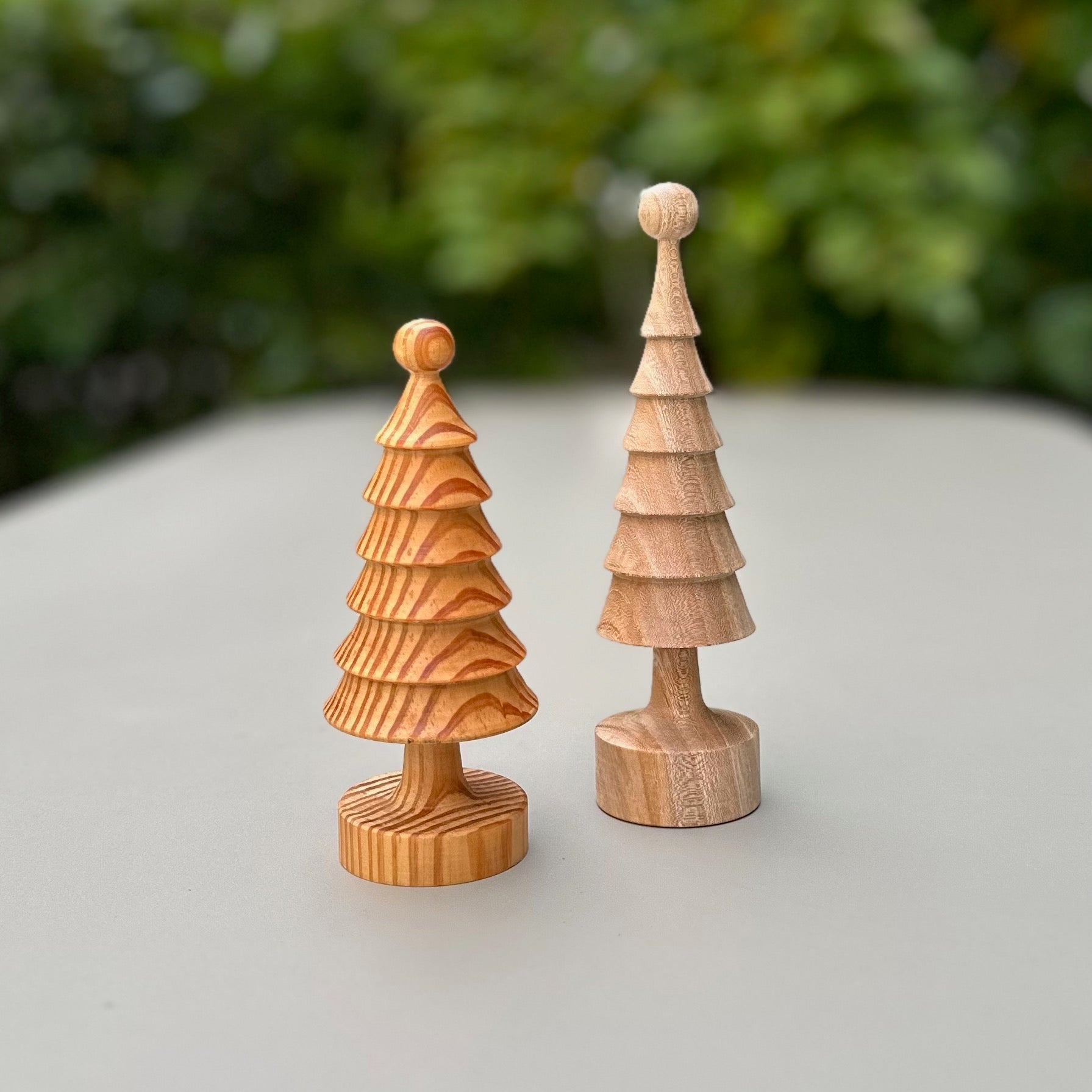 ツリー（ケヤキ）