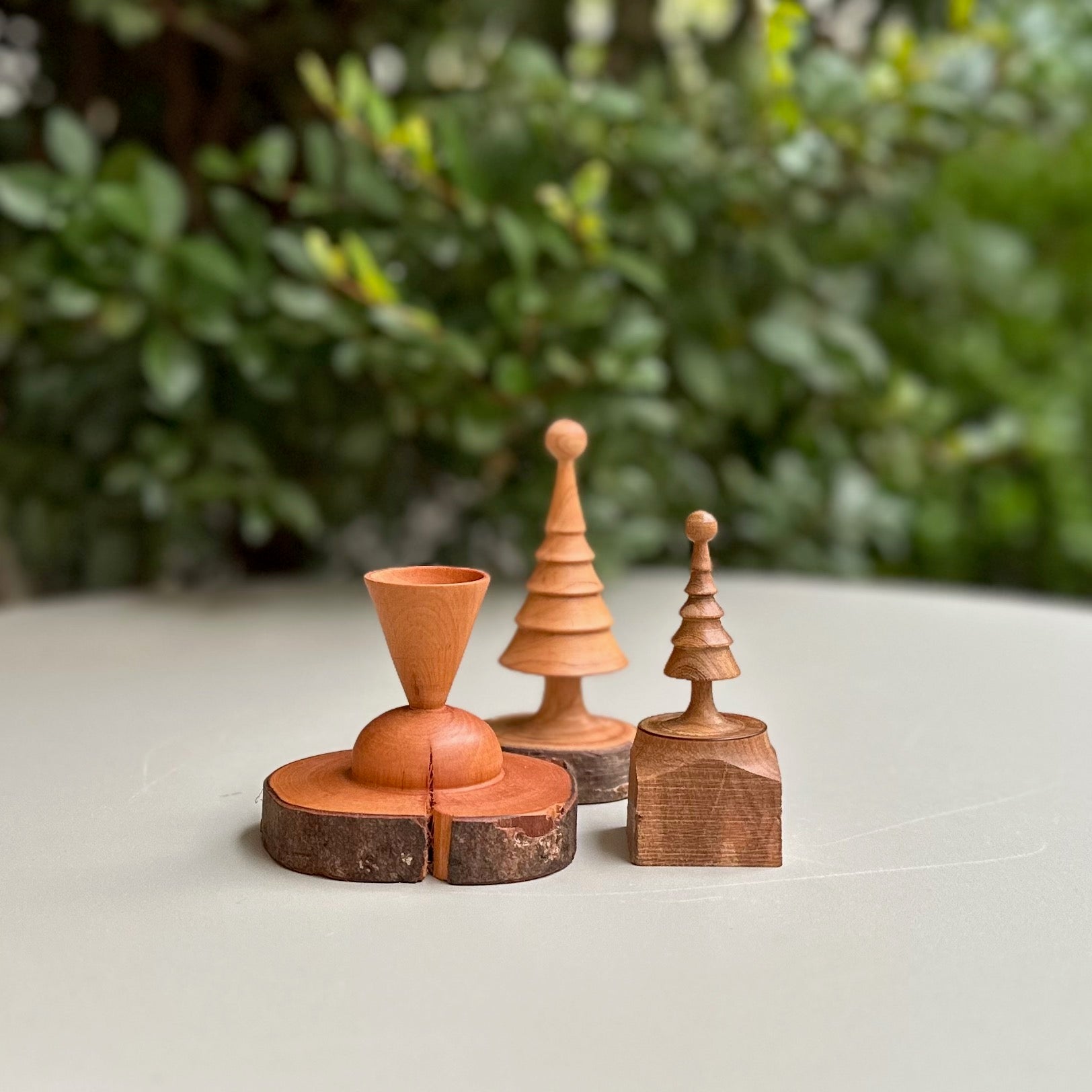 小さな小さなツリー（サクラ）