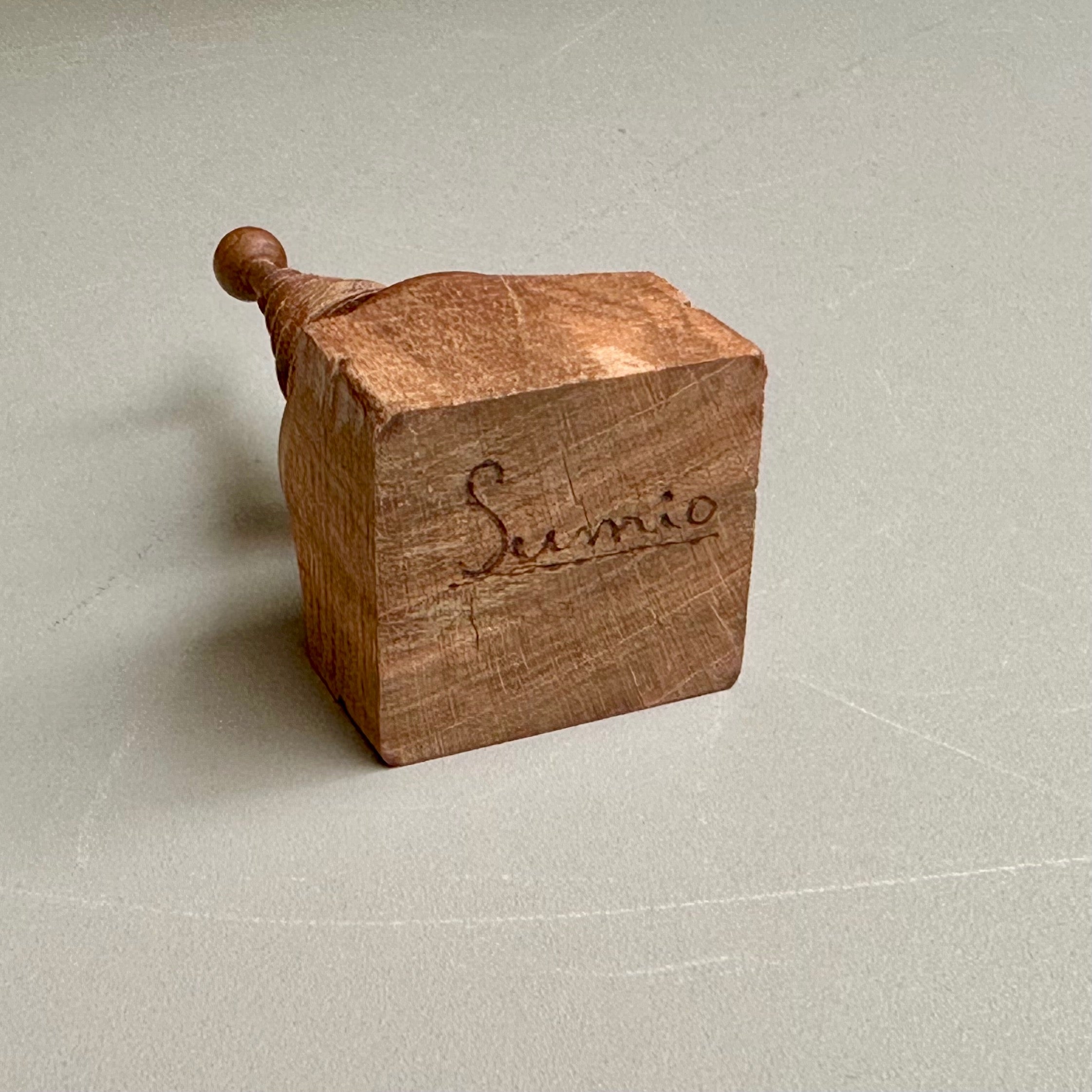 小さな小さなツリー（サクラ）