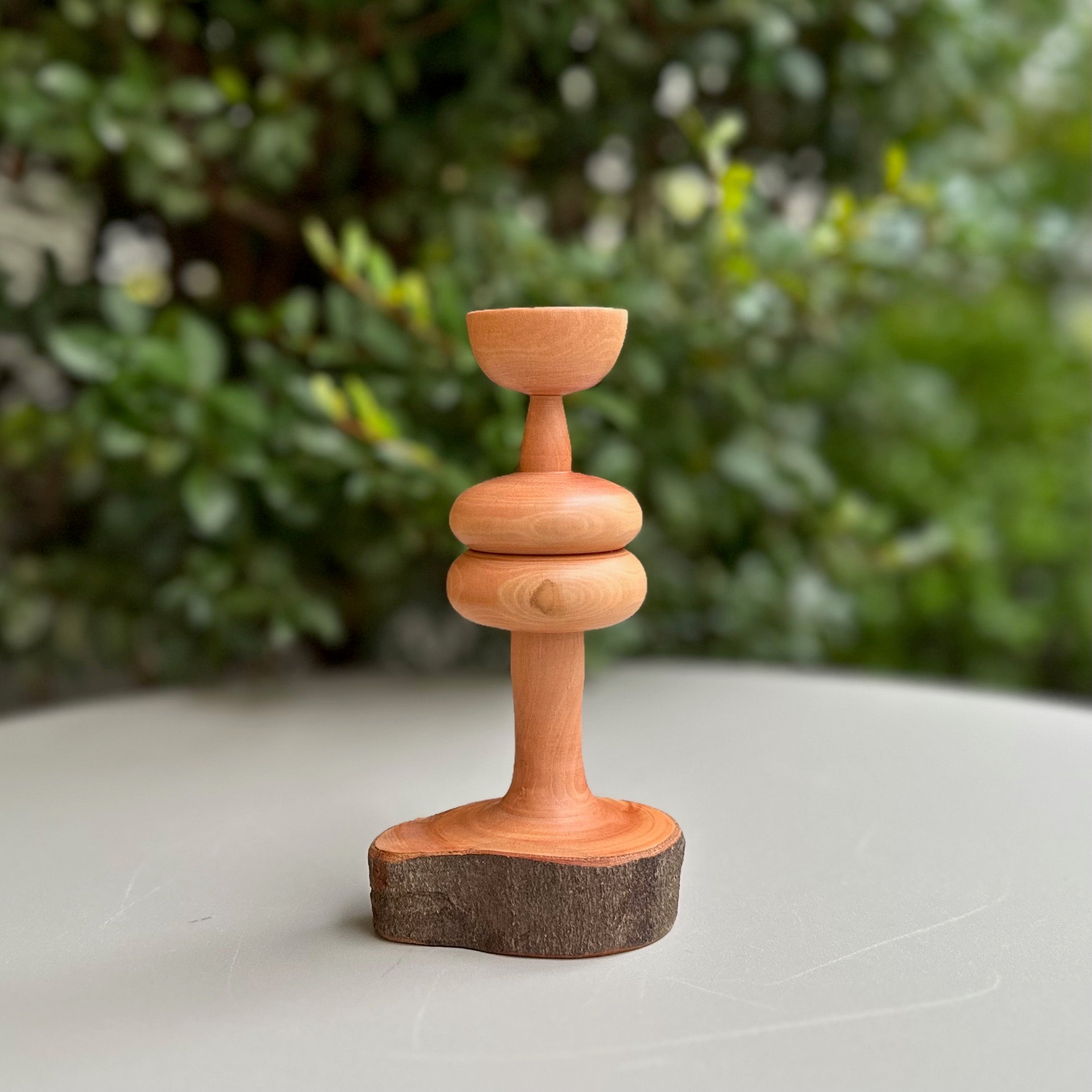 小さなものを置くオブジェ（ヒサカキ）