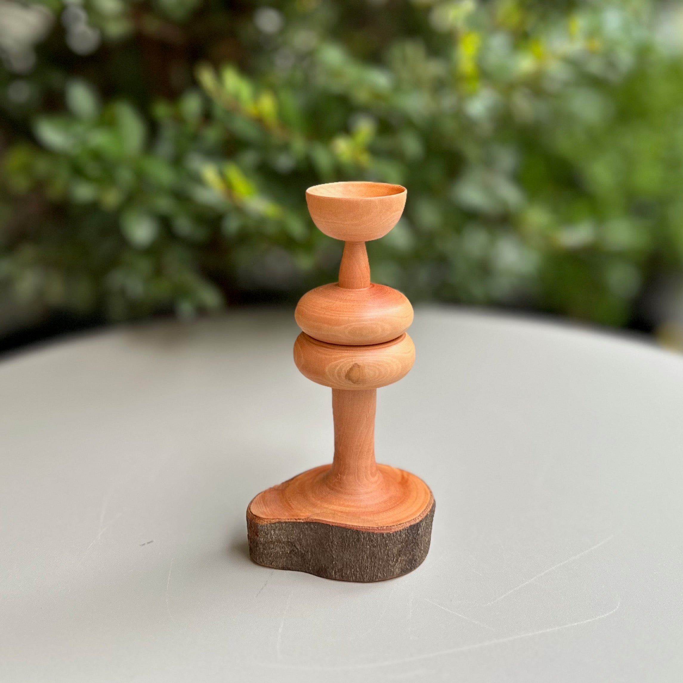 小さなものを置くオブジェ（ヒサカキ）