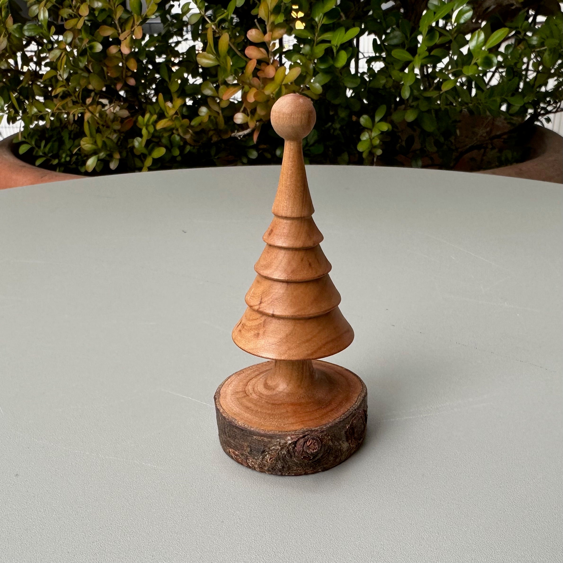 小さなツリー（サクラ）