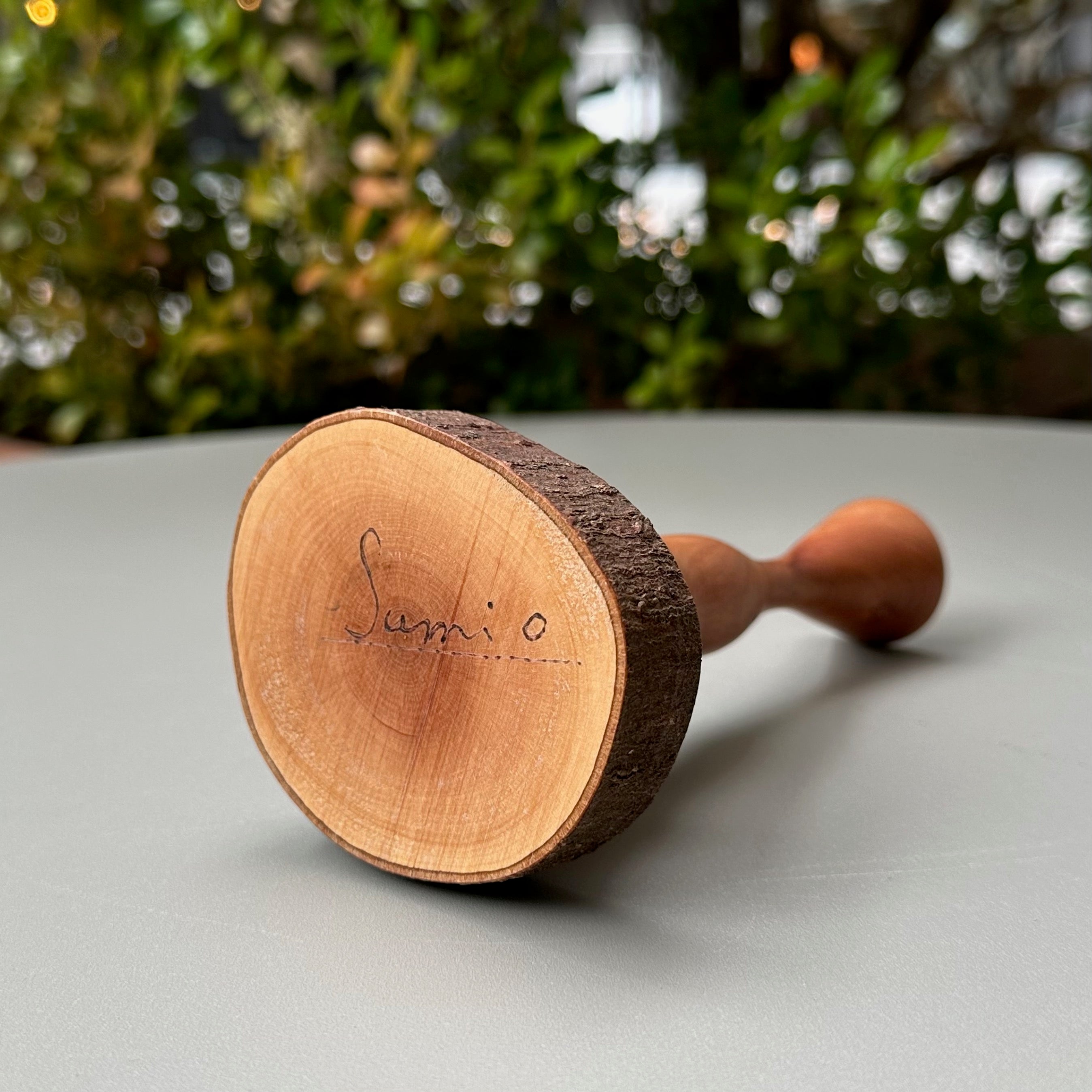 小さなものを置くオブジェ（ヒサカキ）