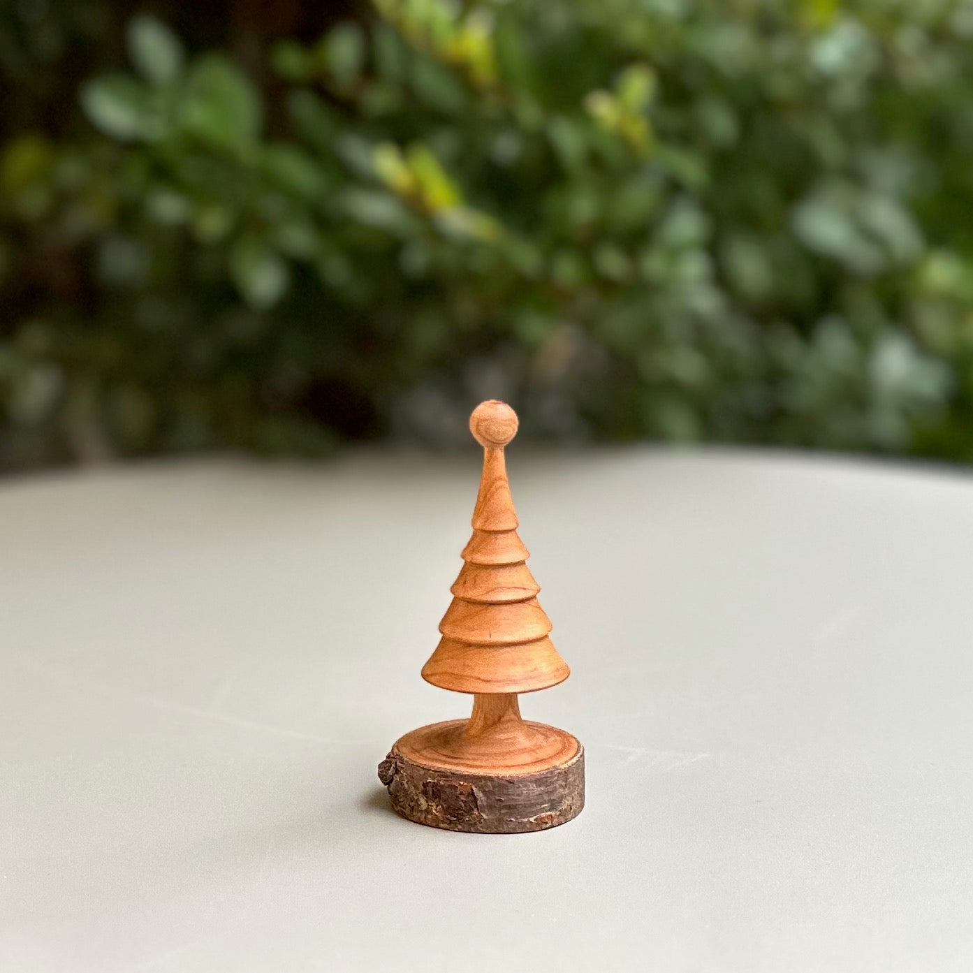 小さなツリー（サクラ）