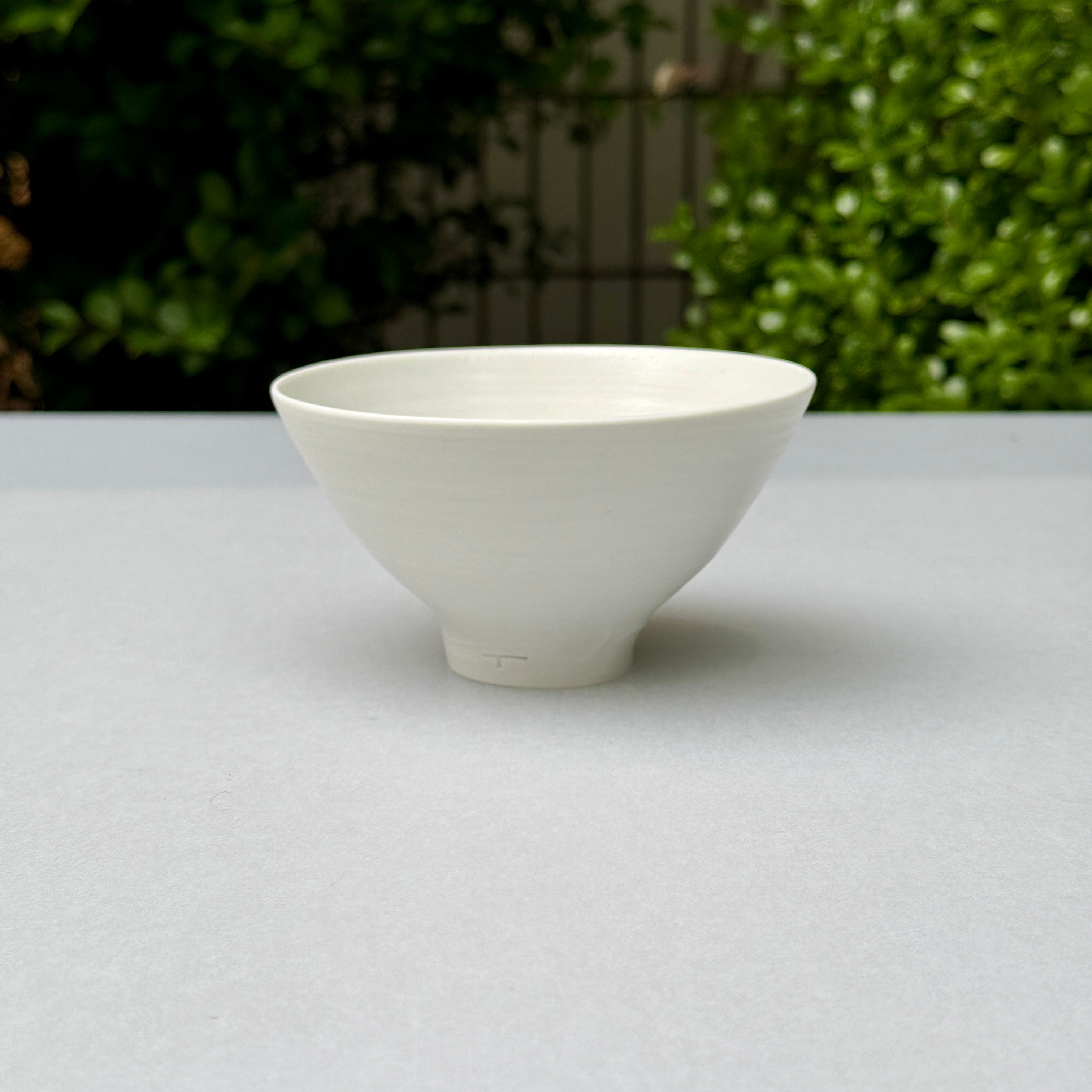 rice bowl