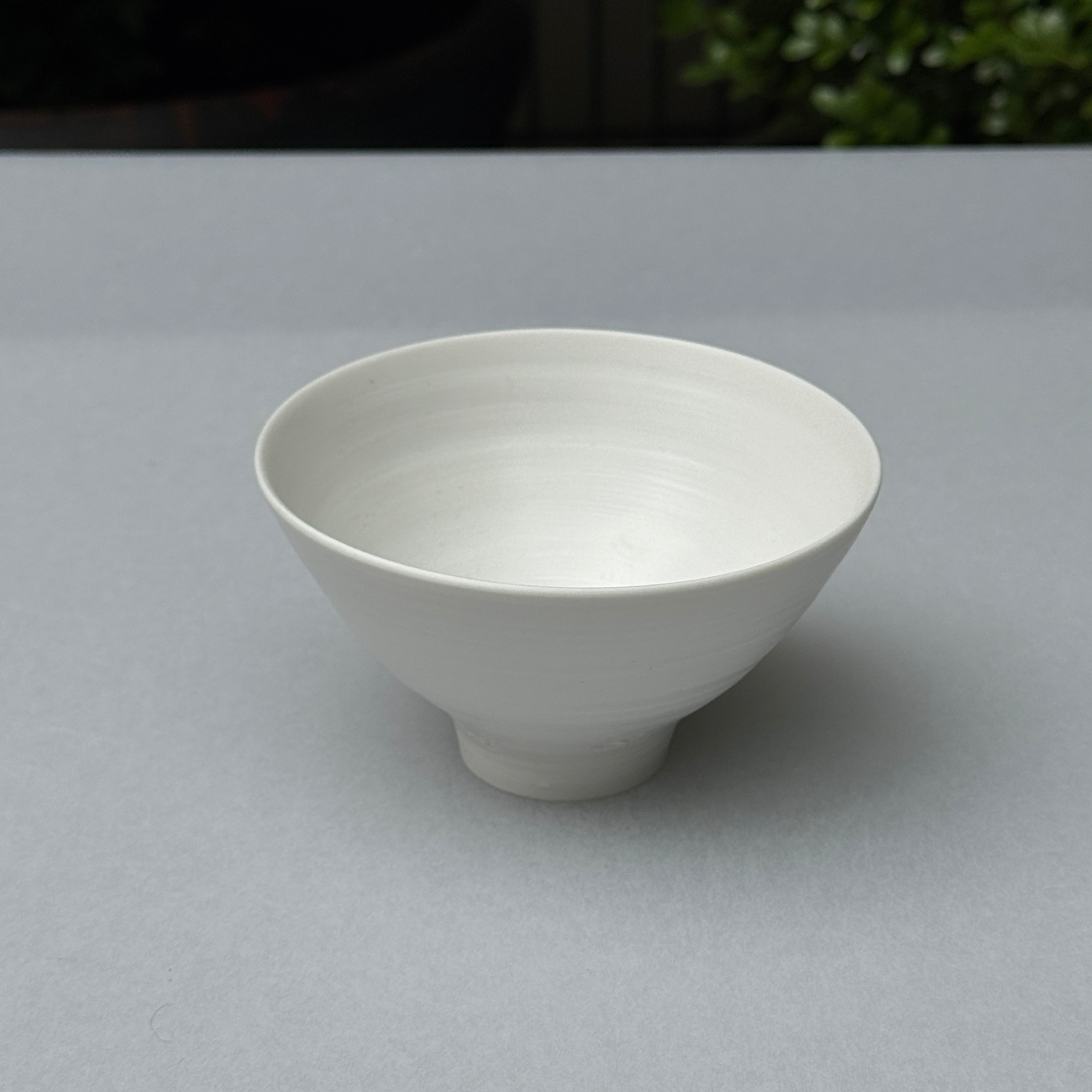 rice bowl