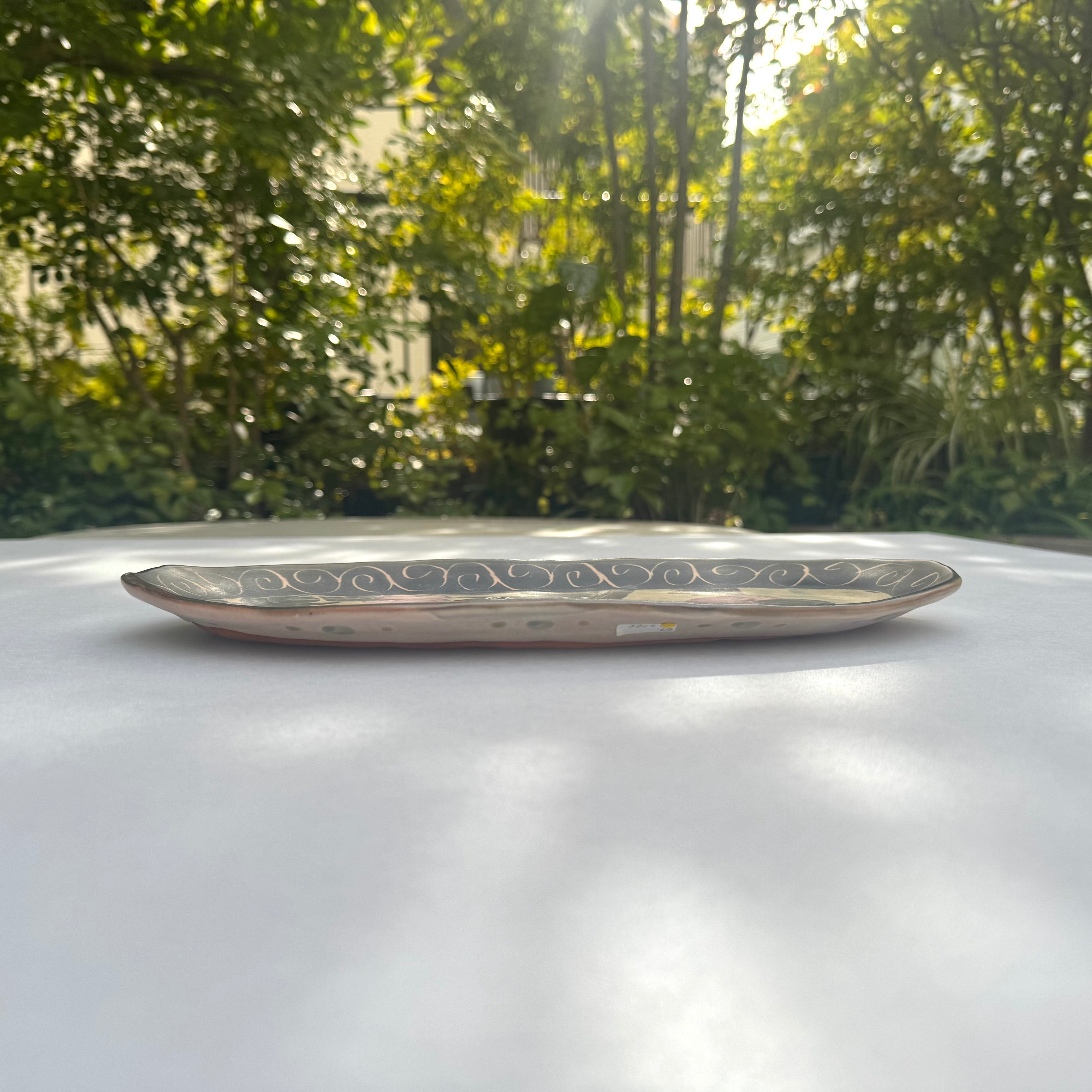 植物文だ円長皿