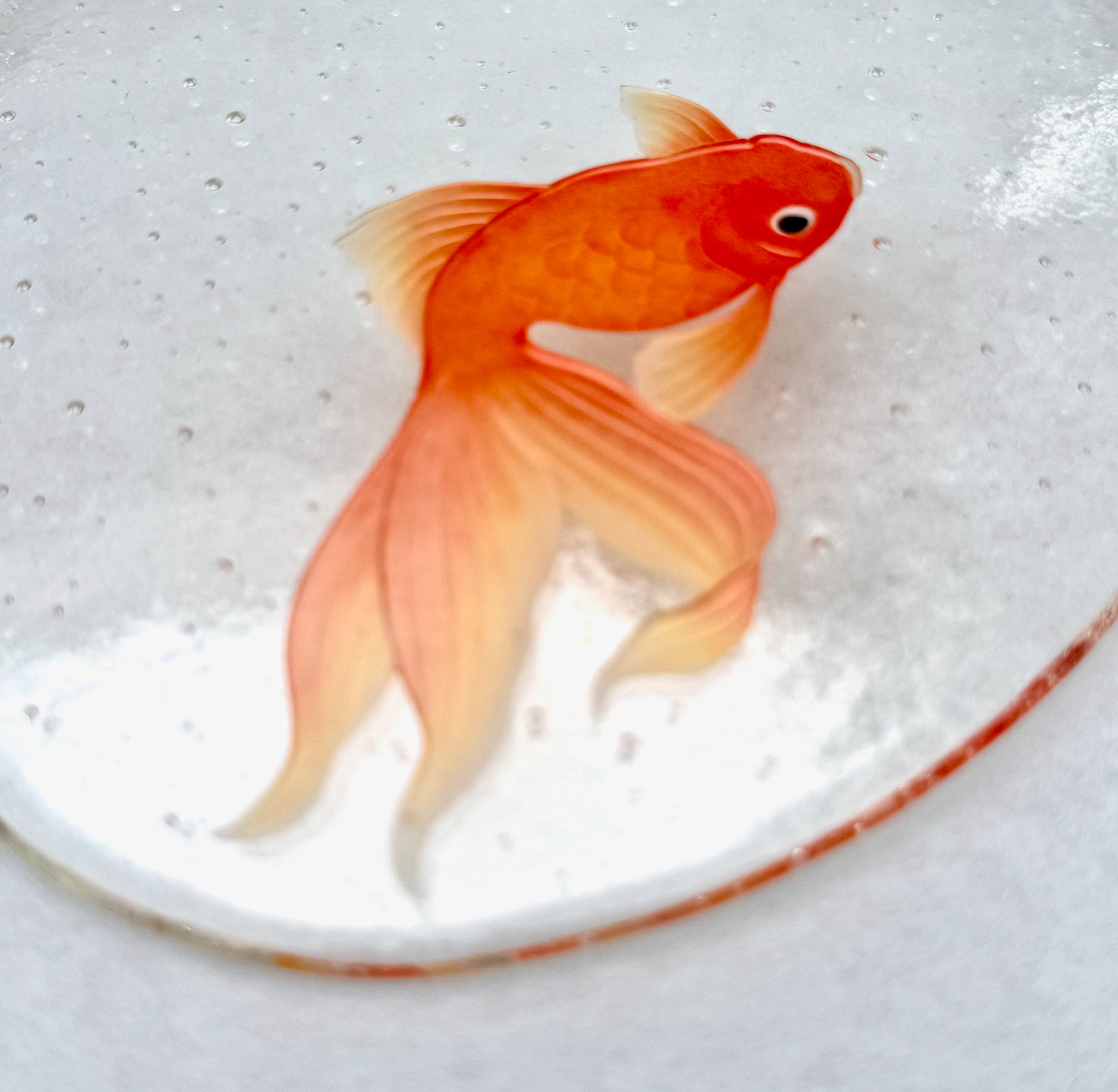 楕円皿「金魚」